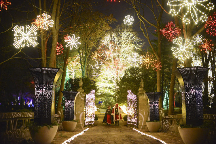 Winterlights at the IMA